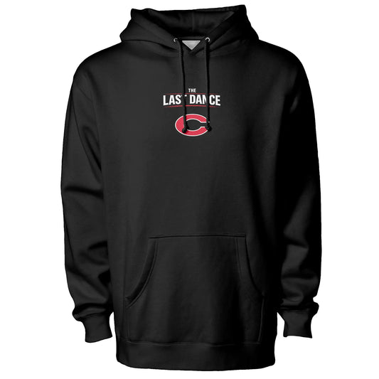 What's a Ram? Family Hoodie